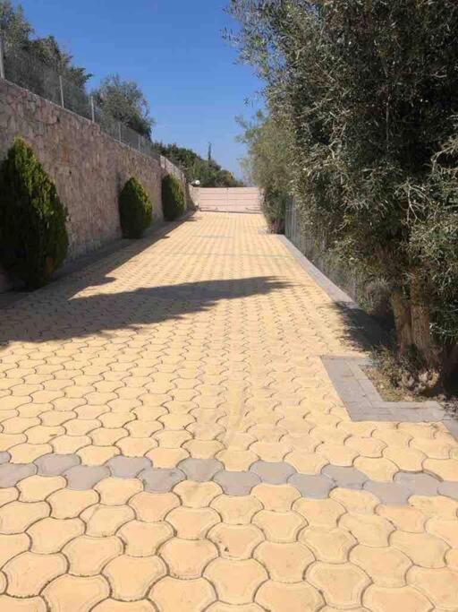 Villa Artemis Nafplion 托隆 外观 照片