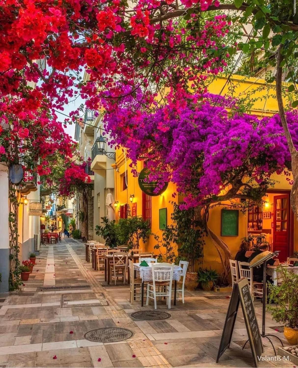 Villa Artemis Nafplion 托隆 外观 照片