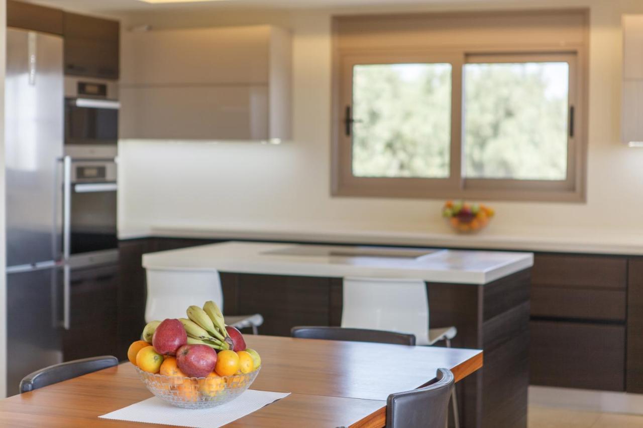 Villa Artemis Nafplion 托隆 外观 照片